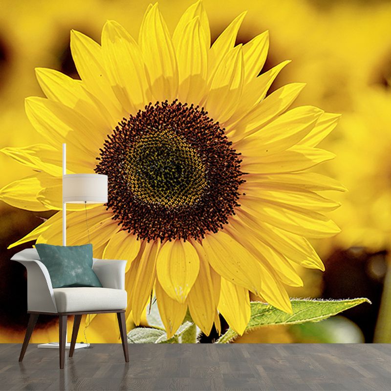 Environmental Wall Mural Wallpaper Sunflowers Living Room Wall Mural