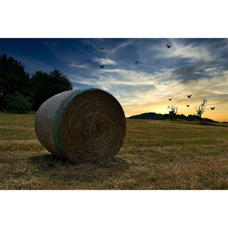 Customized Straw Bale Mural Stain Resistant Wall Covering for Dining Room