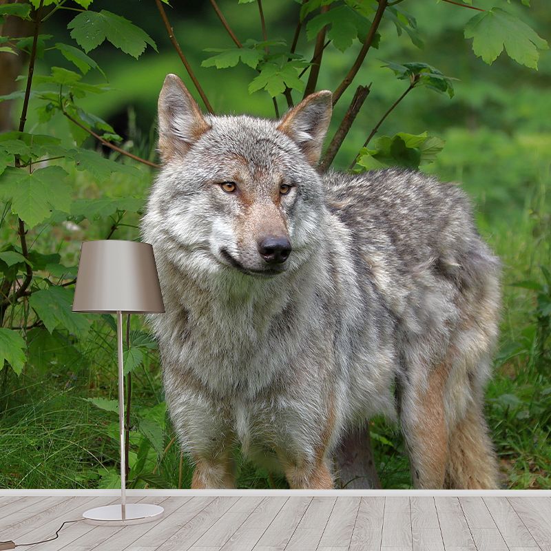 Handsome Woif Mural Wallpaper Stain Resistant Wall Covering for Living Room