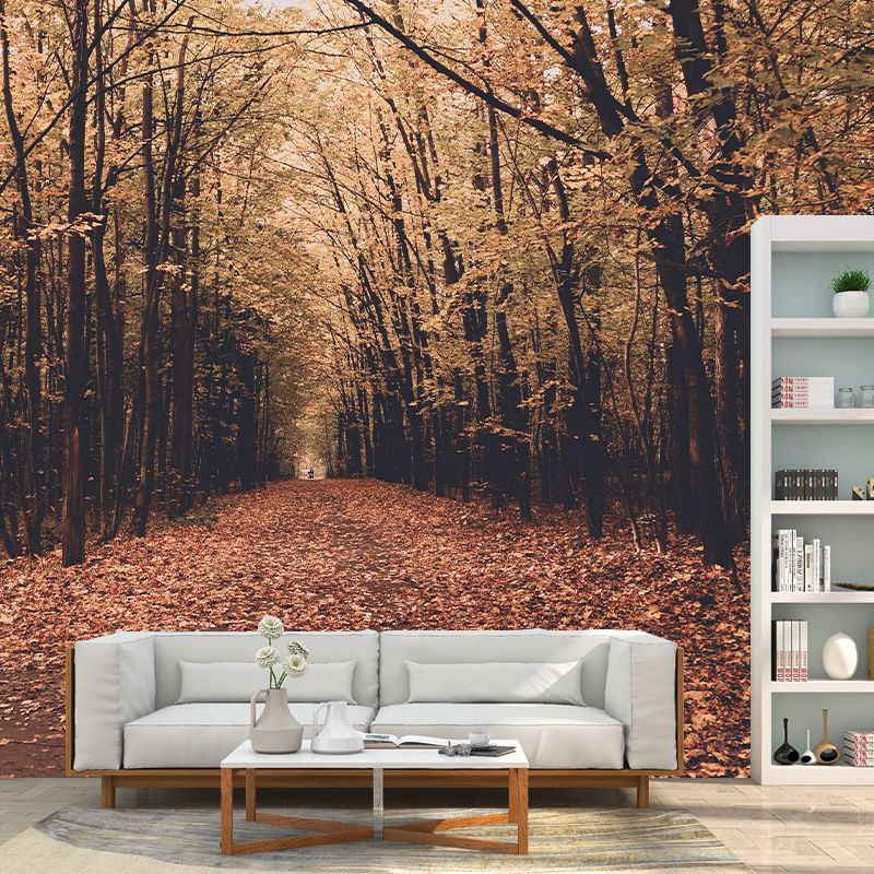 Woods Stain Resistant Photography Wallpaper Drawing Room Wallpaper