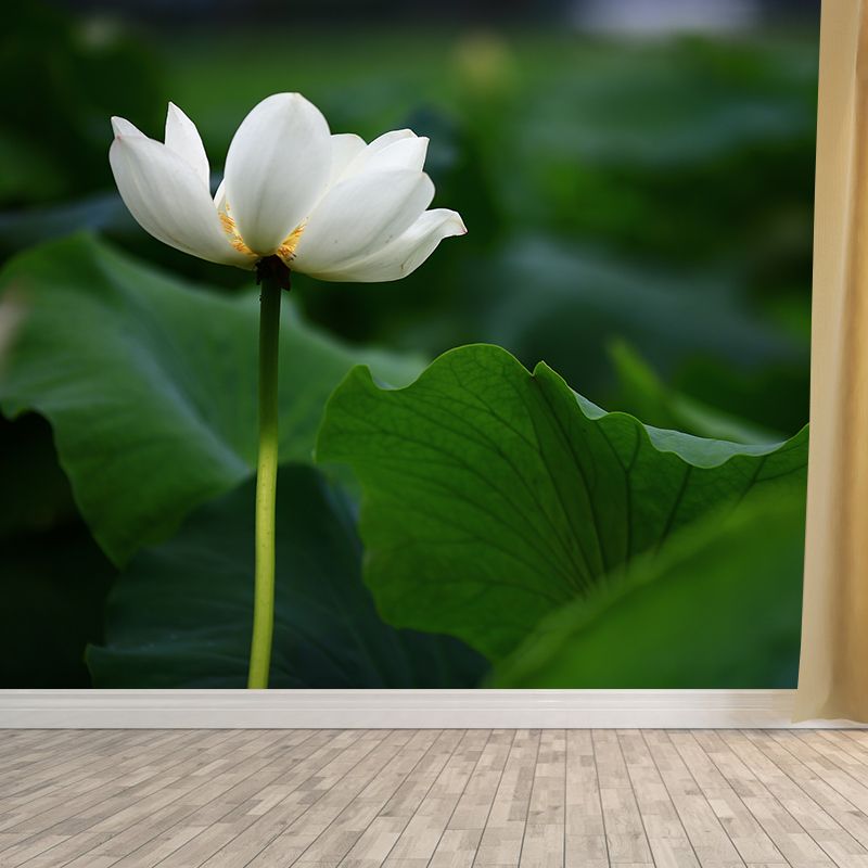 Blooming Lotus Flower Murals Wallpaper Modern Stain Resistant Wall Decor for Bedroom