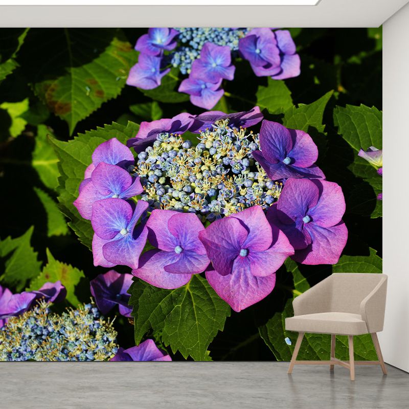 Blooming Hydrangea Mural Wallpaper Environmental Contemporary for Bedroom