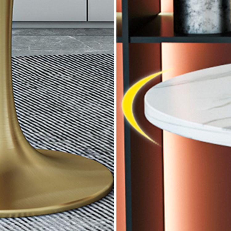 Glam 1/2/3/4/5 Pieces Sintered Stone Dining Set Dining Furniture Set /Separate Items