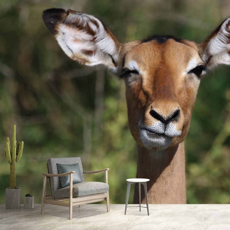 Leopard Contemporary Wild Animal Mural Mildew Resistant Wallpaper for Home Decor