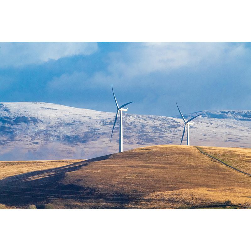 Horizontal Photography Windmill Wall Mural Wallpaper Eco-friendly for Sleeping Room