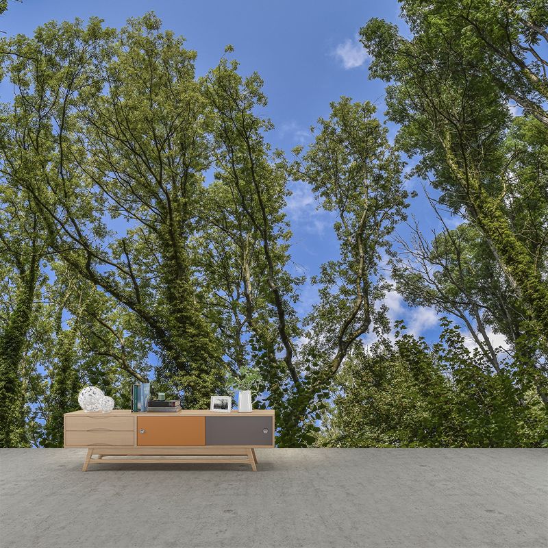 Sky Scene Style Forest Wall Mural Wallpaper Photography Mildew Resistant for Living Room
