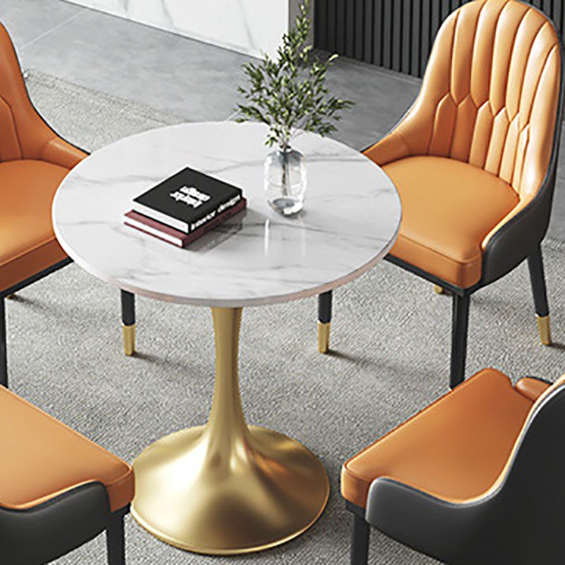 Metal Traditional Luxury Round Table for Home Sintered Stone Table with Tulip