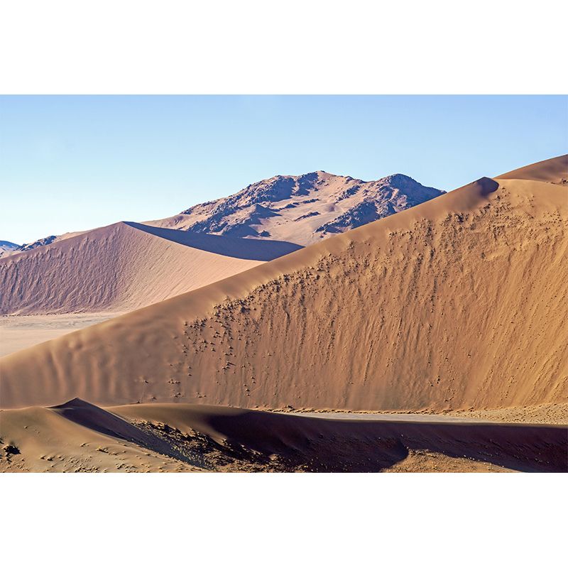 Wall Decor Contemporary Photography Style Desert Mural Wallpaper Mildew Resistant