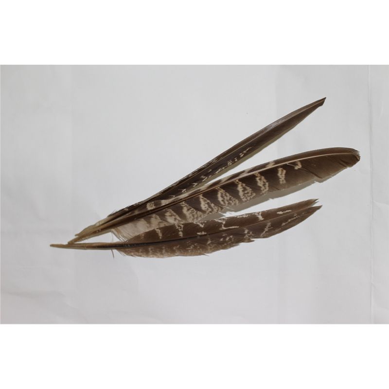 Light Color Feather Wall Mural for Bedroom Stain Resistant, Customized Size