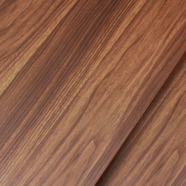 Modern Closed Back Bookshelf Manufactured Wood Vertical Bookcase for Home