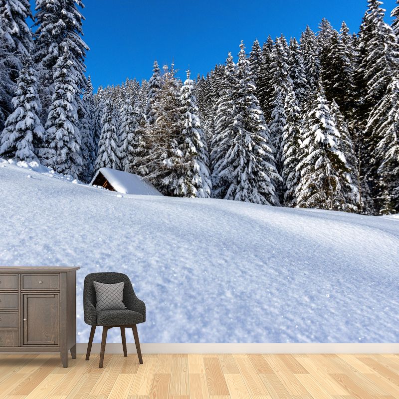 Huge Forest Landscapes Mural Horizontal Photography Wall Covering for Bedroom