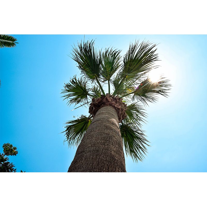 Waterproof Green Palm Trees Mural Wallpaper Living Room Wall Decor, Custom Size