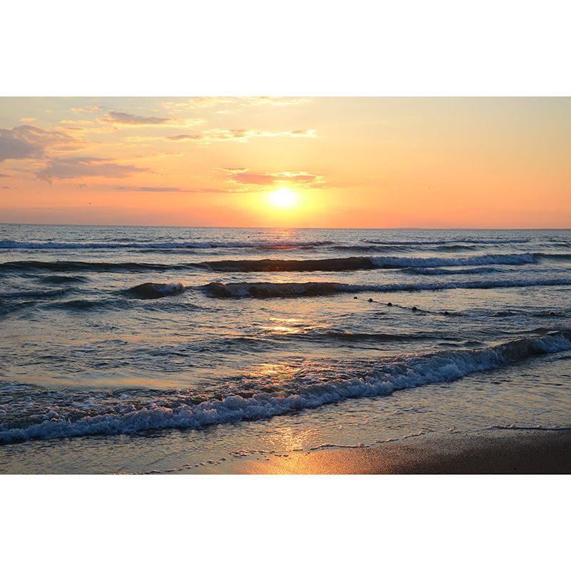 Sandy Beach Wall Mural Decal for Living Room Customized Wall Covering, Waterproof