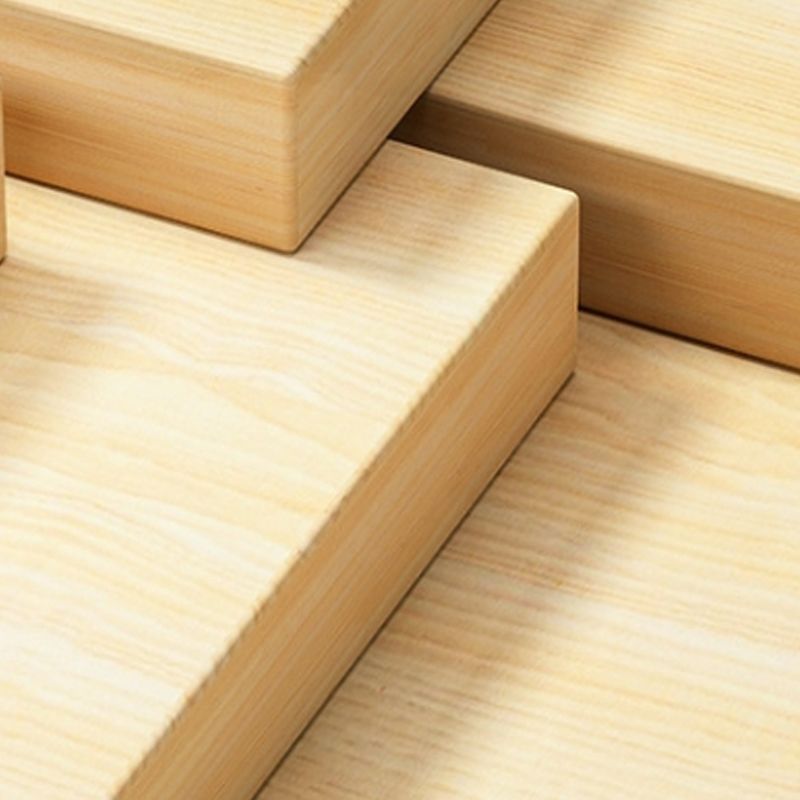 Contemporary Ladder Bookcase Wooden Open Back Bookshelf with Shelves for Home