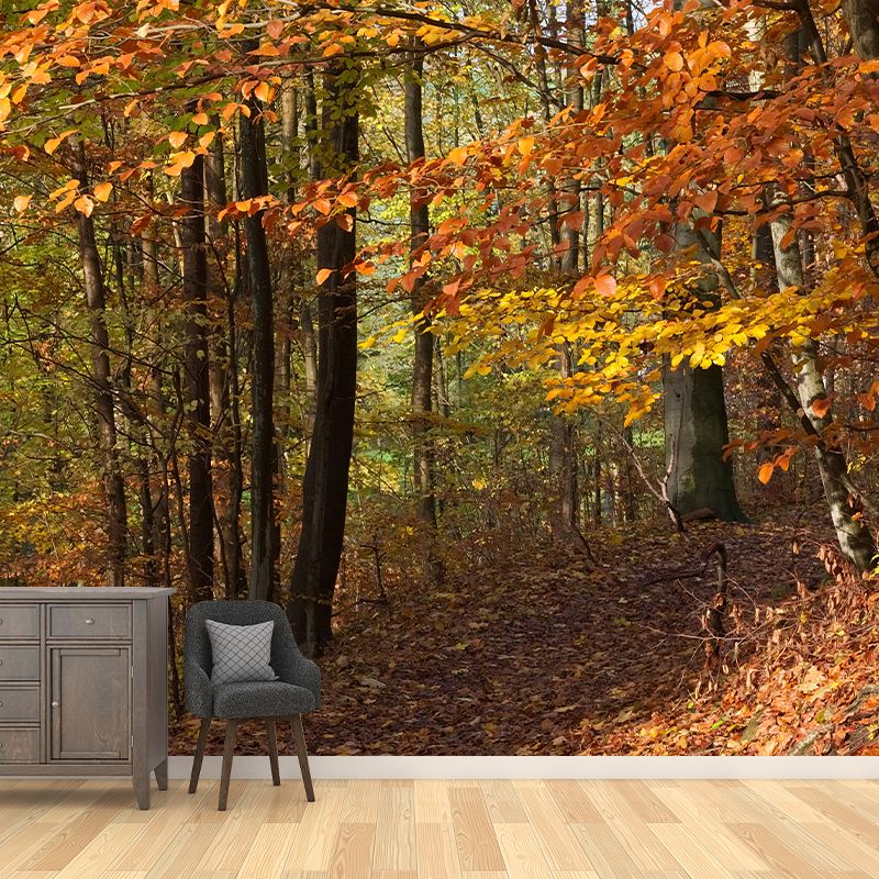 Contemporary Photography Style Forest Mural Wallpaper Mildew Resistant for Dining Room