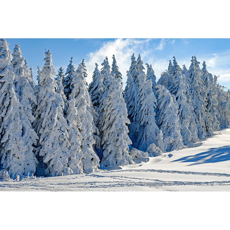 Contemporary Conifers Trees Landscape Home Mural Mildew Resistant Wall Decor for Bedroom