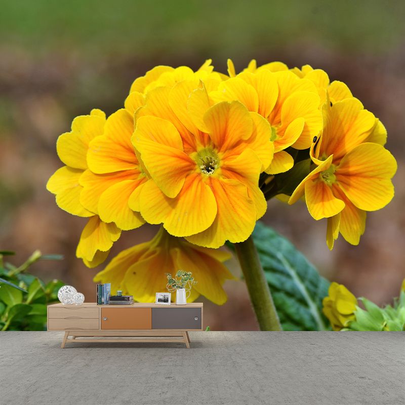 Flower Photo Stain Resistant Mural Decal Modern Wall Decor for Sleeping Room