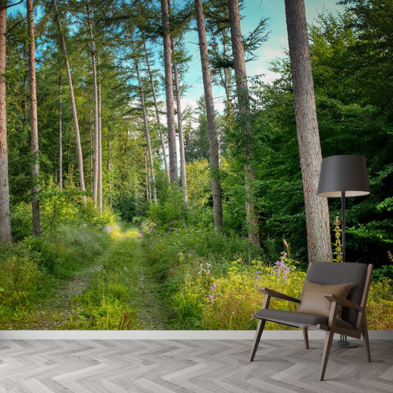 Green Forest Landscape Mural Wallpaper for Reading Room, Water Resistant