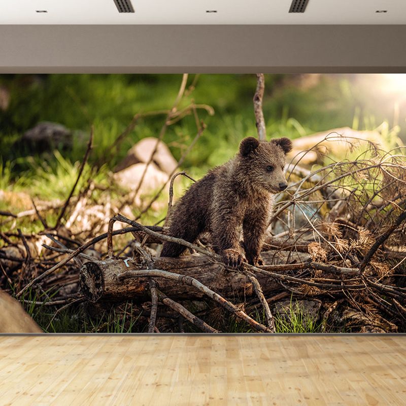 Wild Animal Contemporary Style Mural Horizontal Photography Living Room Wall Mural