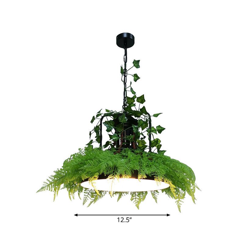 Burst/Barn/Birdcage Plant LED Pendant Lamp Industrial Pink/Green/Purple Finish Iron Hanging Chandelier for Bistro