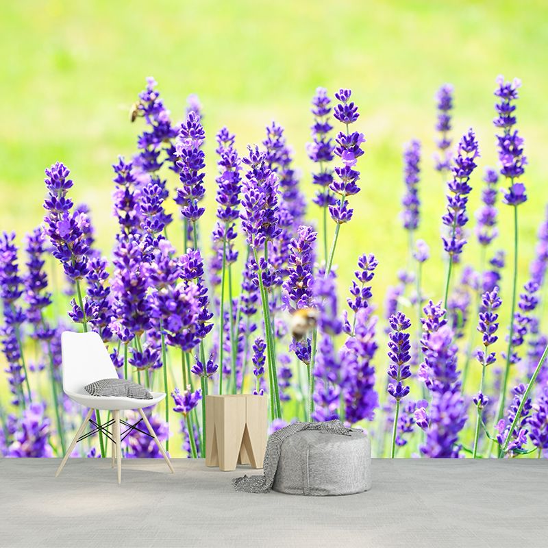 Contemporary Photography Beautiful Lavender Mural in Purple for Home Decor