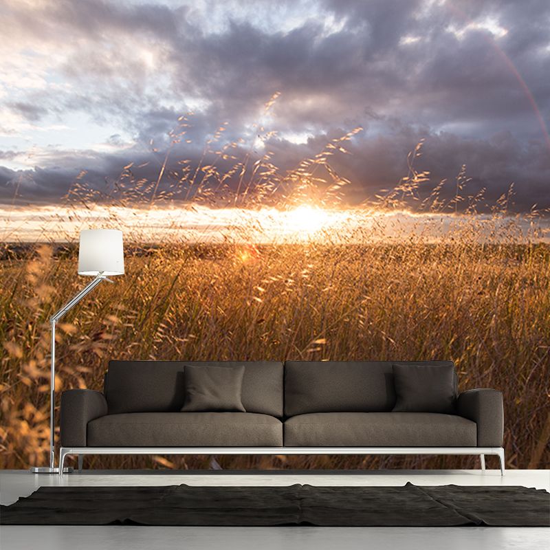 Photography Stain Resistant Mural Wallpaper Wheat Field Sleeping Room Wall Mural