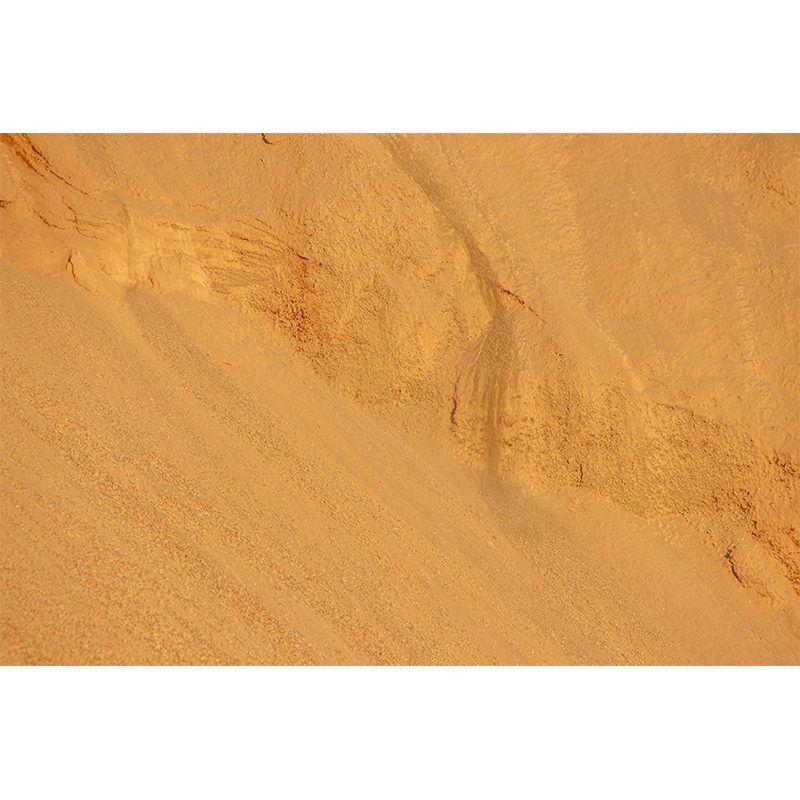 Desert Landscape Mural Wallpaper Modern Style Mildew Resistant for Bedroom