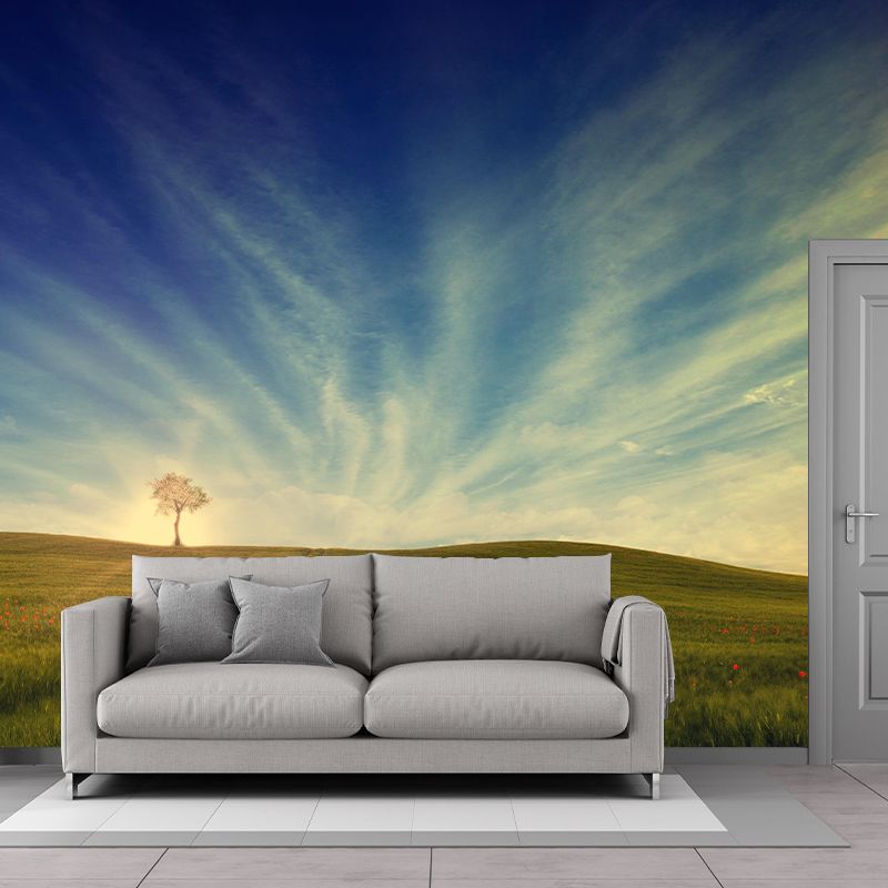 Contemporary Photography Style Sky Mural Wallpaper Mildew Resistant Wall Covering