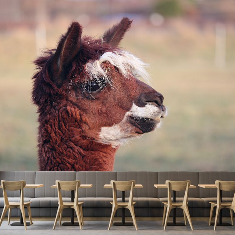 Alpaca Portrait Mural Wallpaper Contemporary Style Wall Covering for Living Room