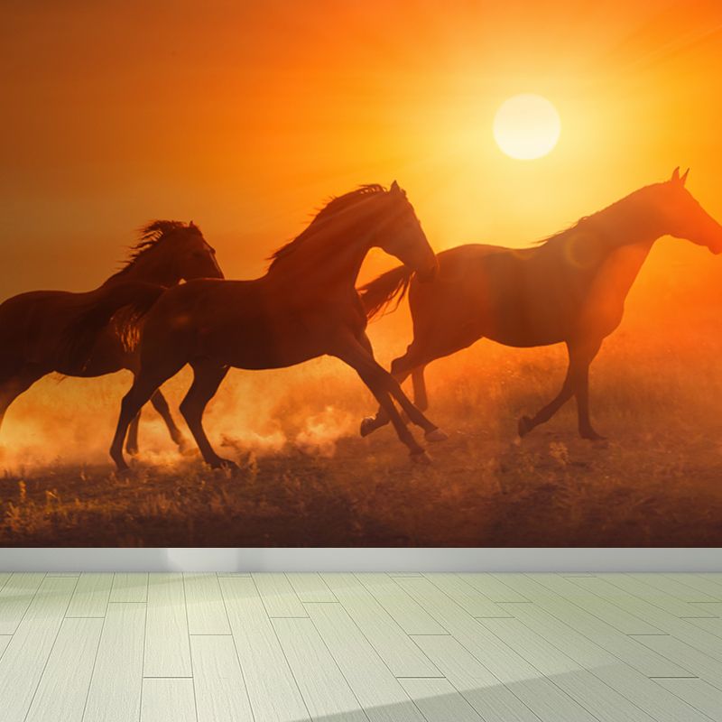 Running Horse and Sunset Mural Decal for Boys Bedroom Animals Wall Decor, Custom