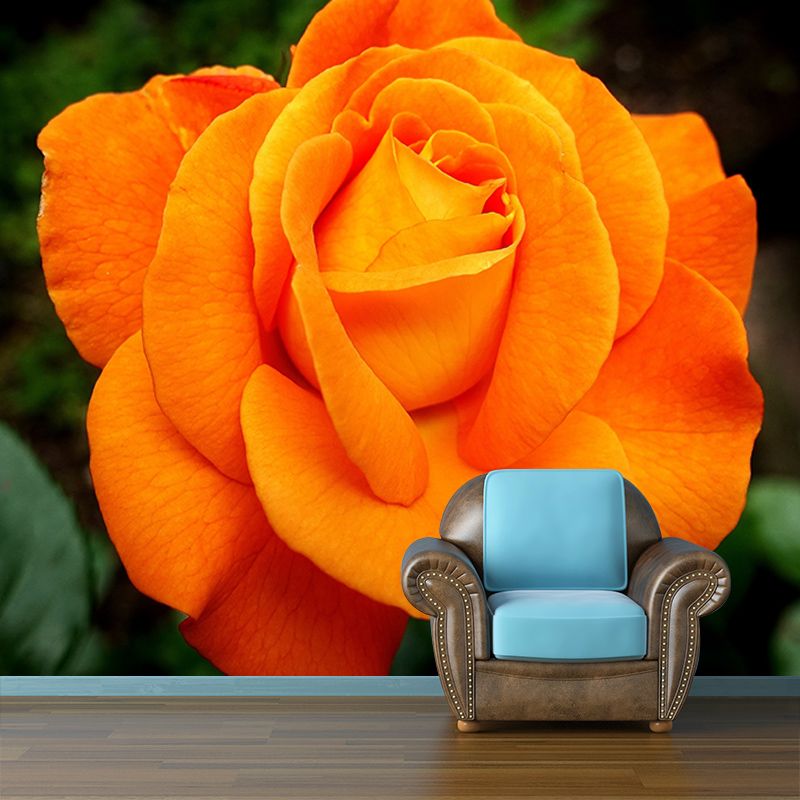 Roses Modern Style Mural Wallpaper Environment Friendly Bedroom Wall Mural