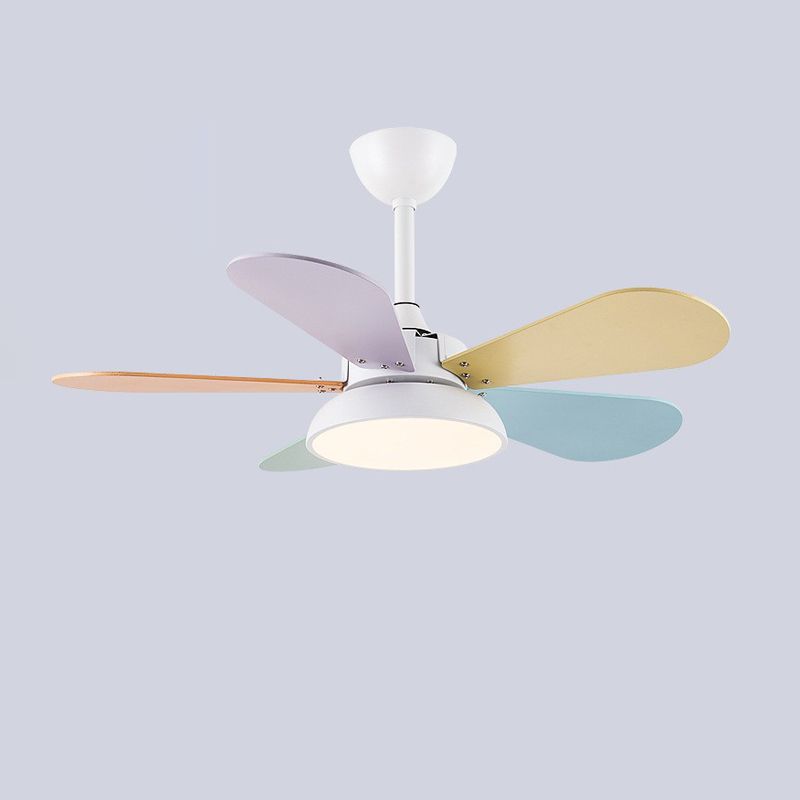 5 - Blades Kids Style Ceiling Fan Metal and Wood Fan Lighting Fixture in Grey / White