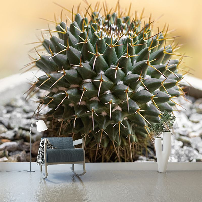 Succulent Houseplant Contemporary Mural for Office Room, Green, Custom Size Available