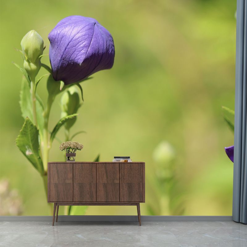 Minimalism Style Bellflower Wall Mural Decorative Photography for Living Room