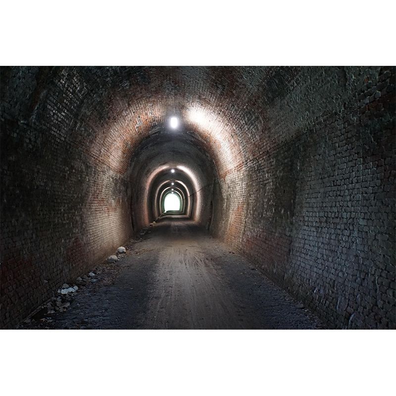 Space Extension Wall Mural Wallpaper Mildew Resistant Wall Covering for Sitting Room