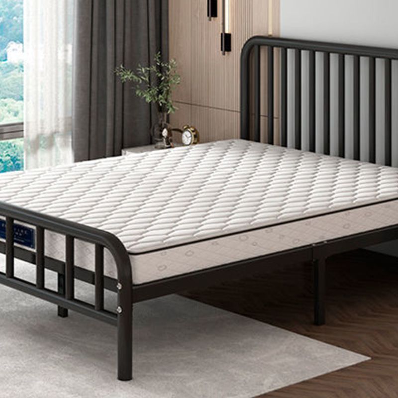 Contemporary with Metal Legs Mattress Included Rectangular Slat Bed