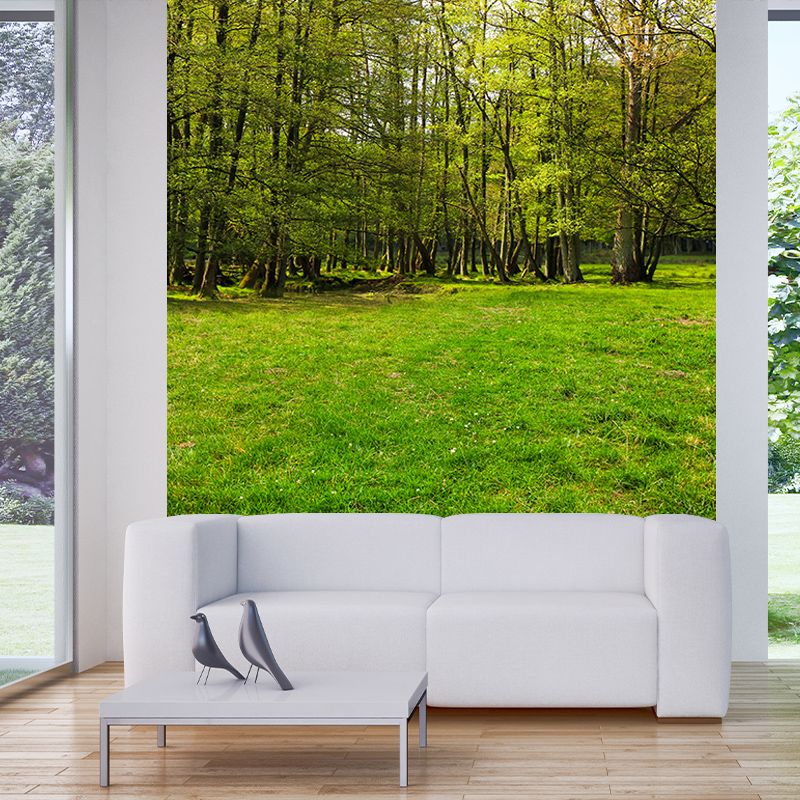 Forest Customized Mural Wallpaper Contemporary for Living Room Bedroom Decor