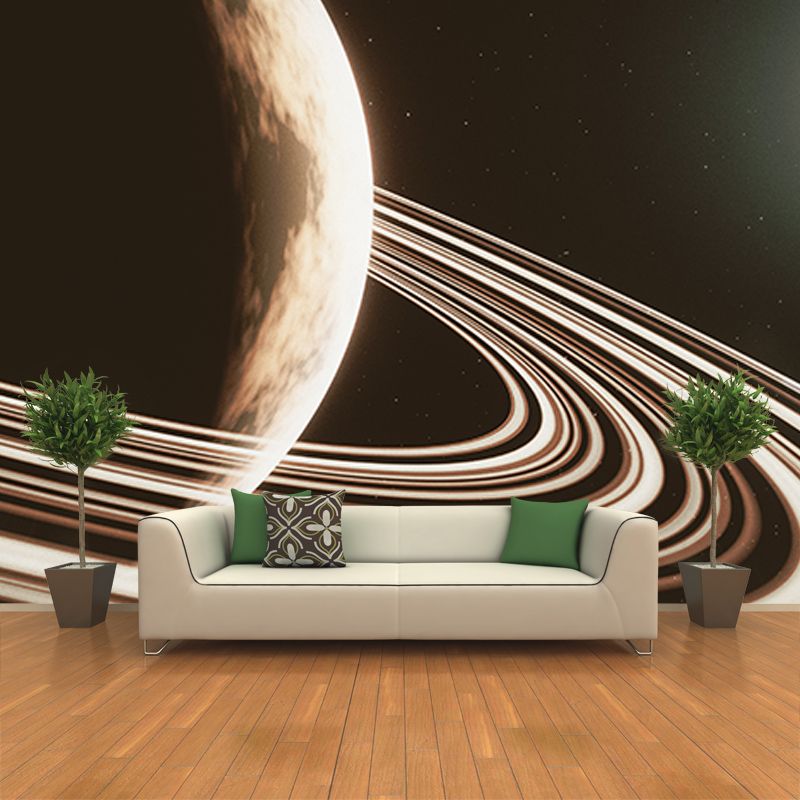 Photography Stain Resistant Mural Wallpaper Cosmos Living Room Wall Mural