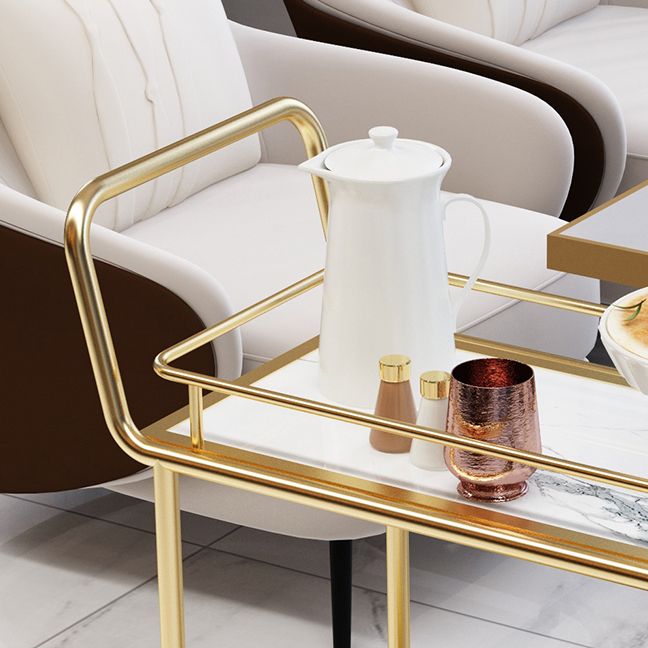 Modern 33.86"H Rolling Prep Table Rectangular Metal Prep Table for Home Use