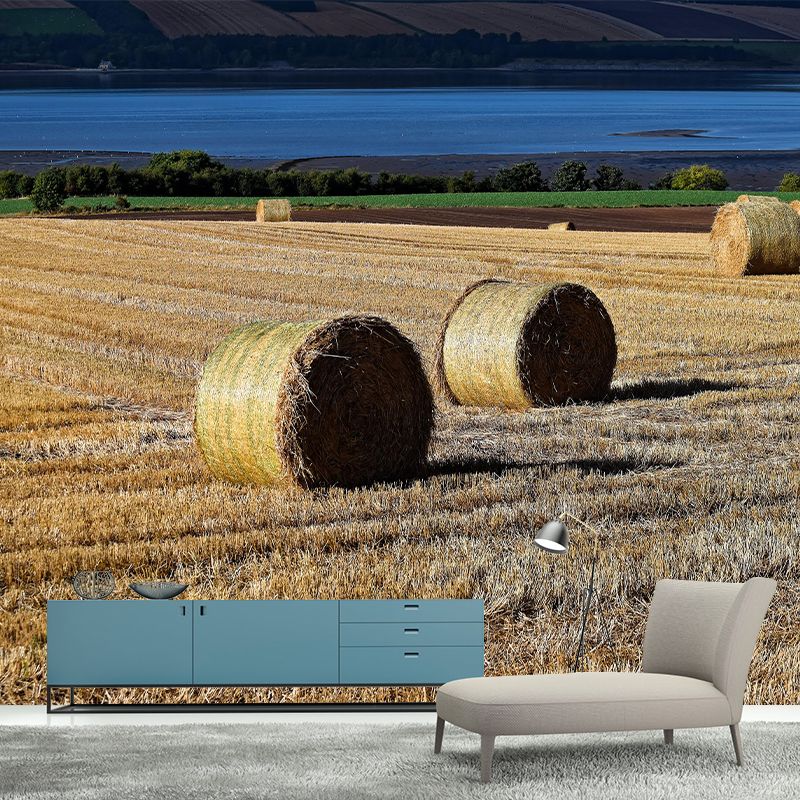 Customized Straw Bales Mural Environment Friendly Wallpaper for Reading Room