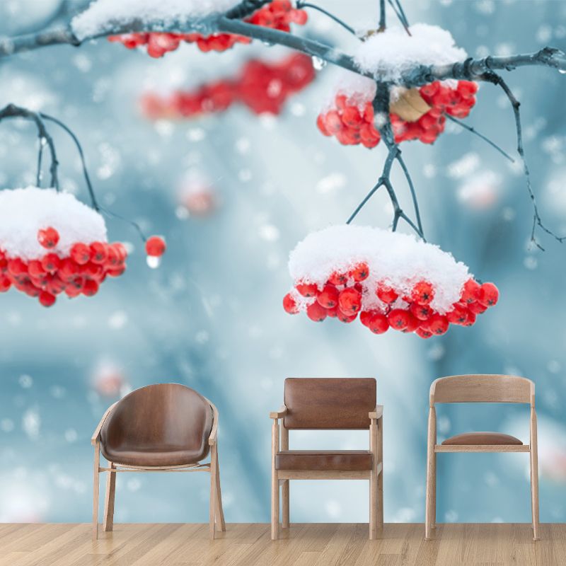 Blue-Red Modern Wallpaper Mural Whole Cherry-Like Fruit Covered with Snow Wall Decor for Home