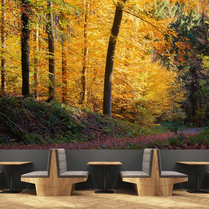 Simple Forest Photo Stain Resistant Mural Decal Modern Wall Decor for Sleeping Room