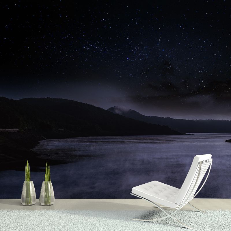 Dark Color Sky Wall Murals Moisture Resistant Contemporary Wall Art for Bedroom