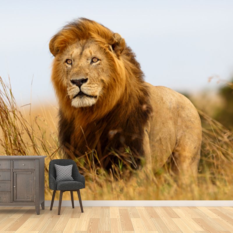 Brown King of Savannas Mural Lion Modern Style Moisture Resistant Wall Decor for Home