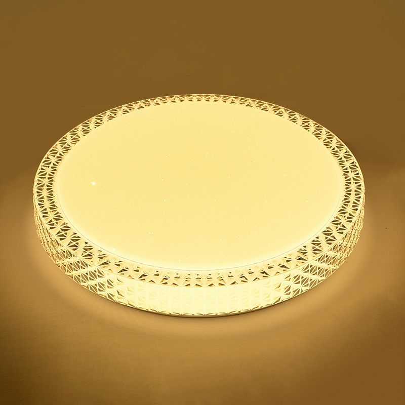 Modern Ceiling Light LED Ceiling Mount Light with Acrylic Shade for Living Room
