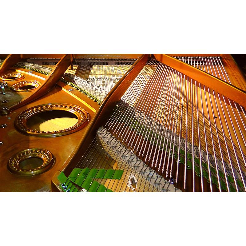 Washable Photography Mural Wallpaper Musical Elements Indoor Wall Mural