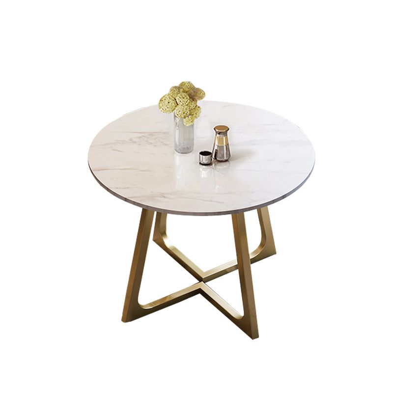 Glam Stone Round Dining Table Double Pedestal Table for Dining Room