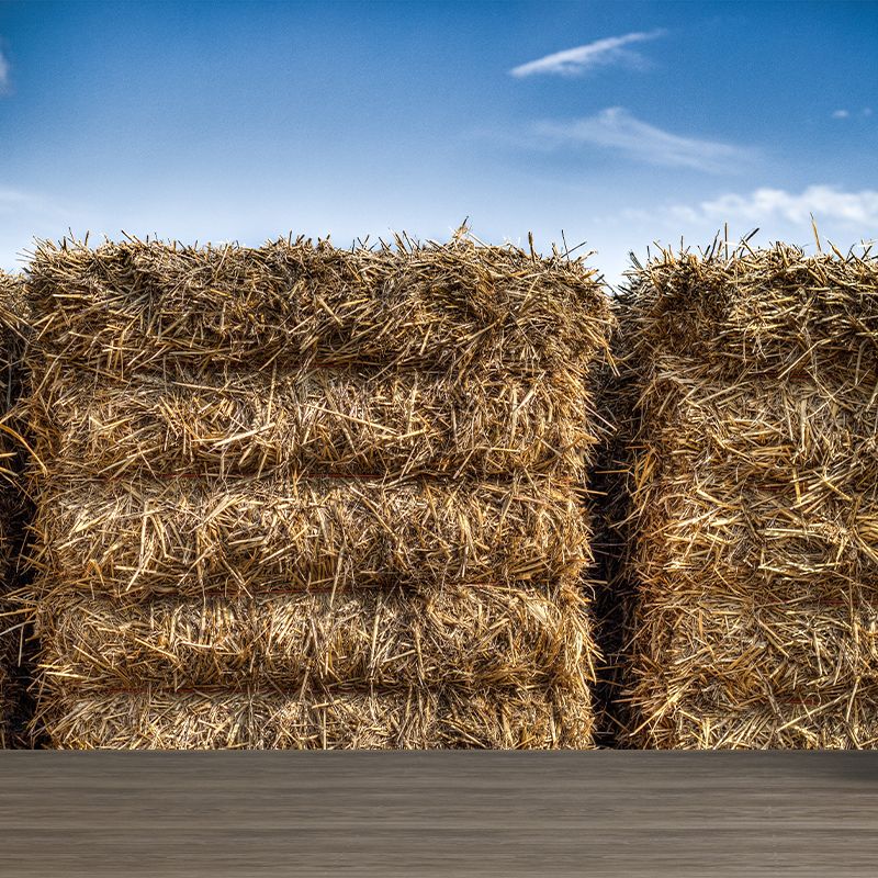 Modern Scenery Stacked Hay Mural Dark Color Stained Resistant Wall Art for Bedroom