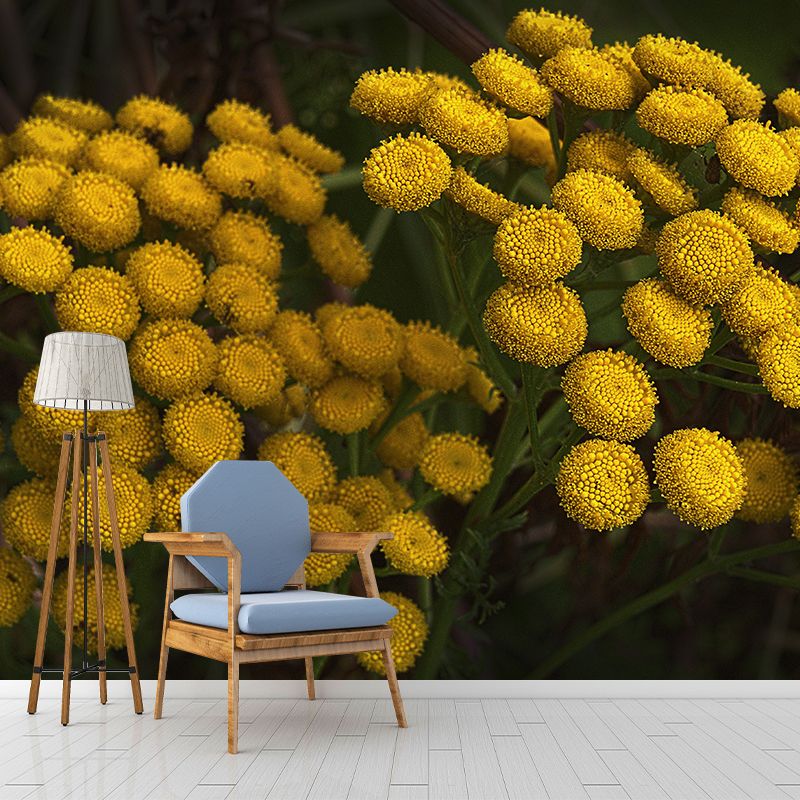 Tansy Flower Wall Covering for Girls' Bedroom Water Resistant Wall Decor