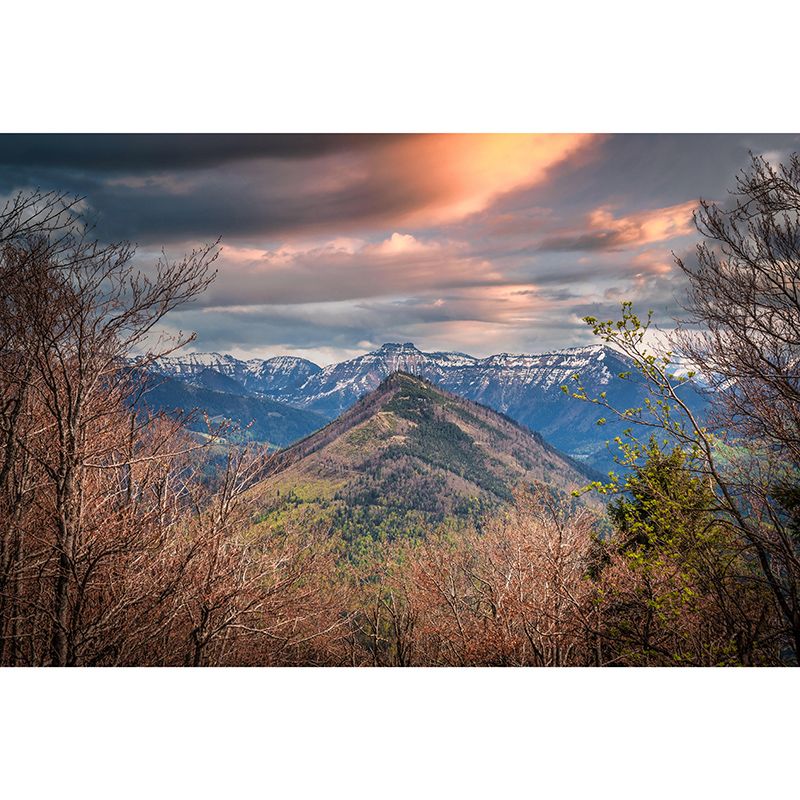 Customized Mountain Landscapes Mural Photography Wall Covering for Room